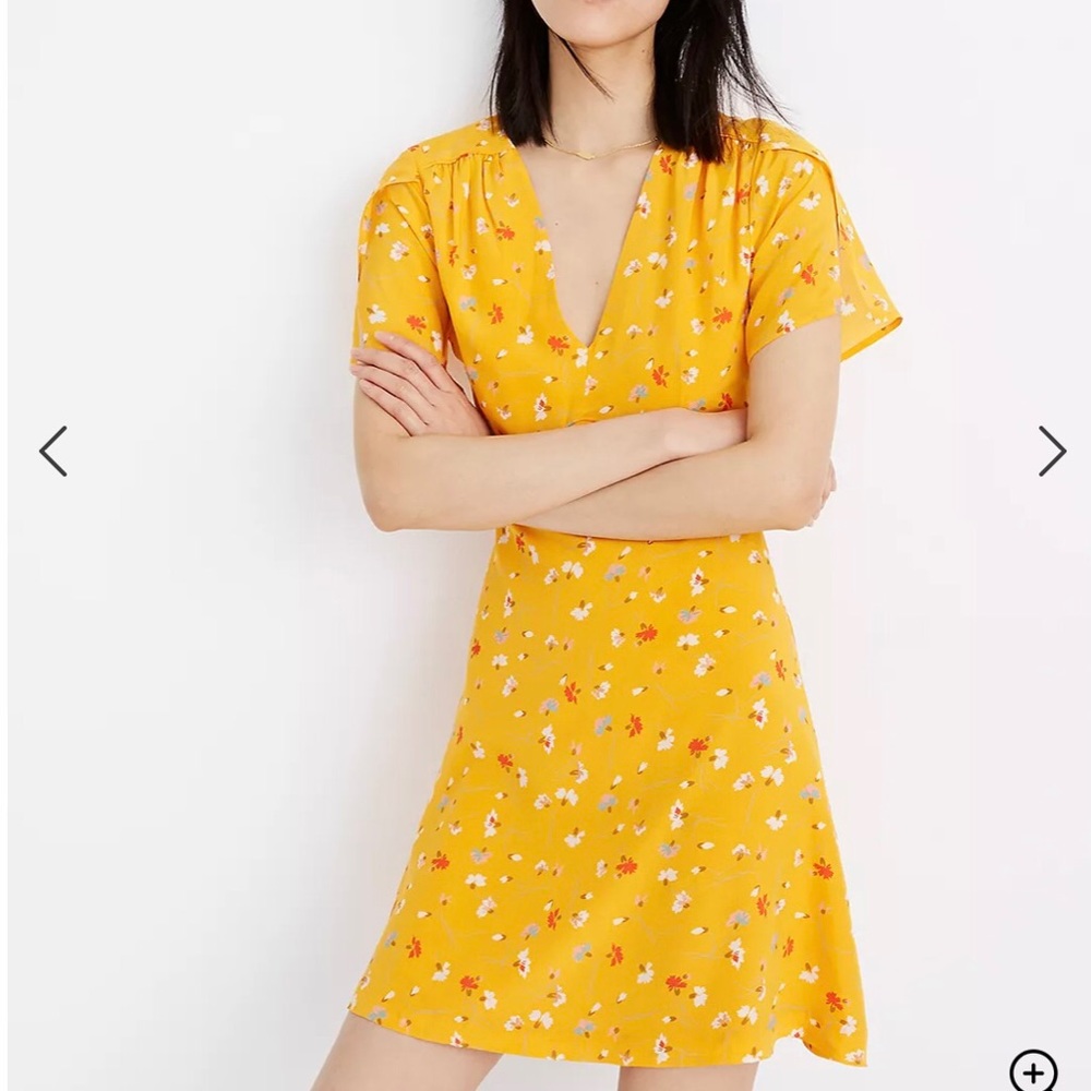 Madewell Silk Belladonna Dress Painted Carnations